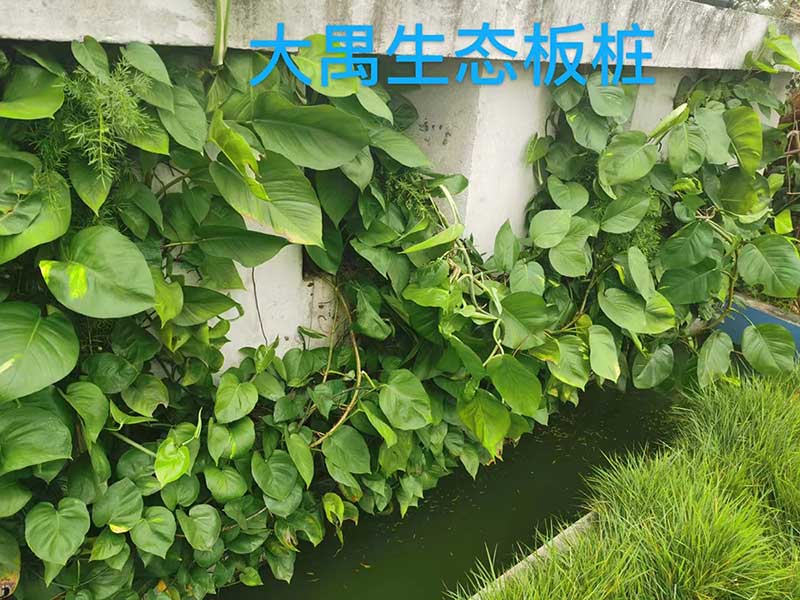 生態U型板樁 生態U型板樁